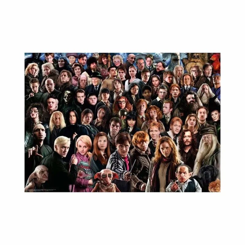 Harry Potter - Challenge (1000 pcs)