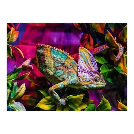Chameleon (500pcs)