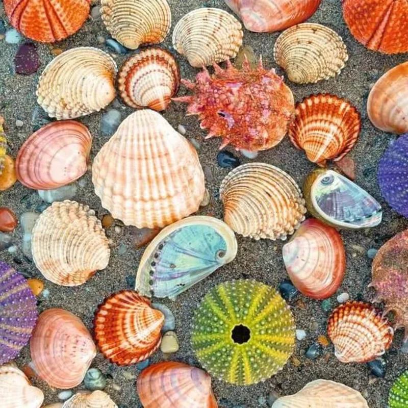 Puzzle Moments: By the Seashore (300 pcs)