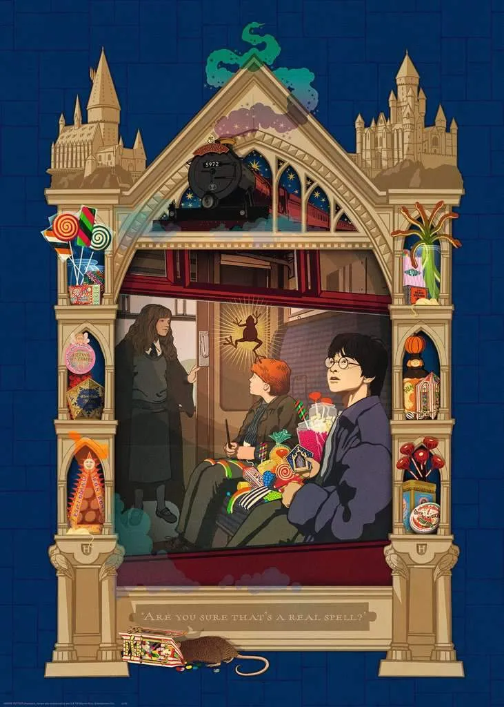 Puzzle - 1000p : Harry En Route Vers Poudlard
