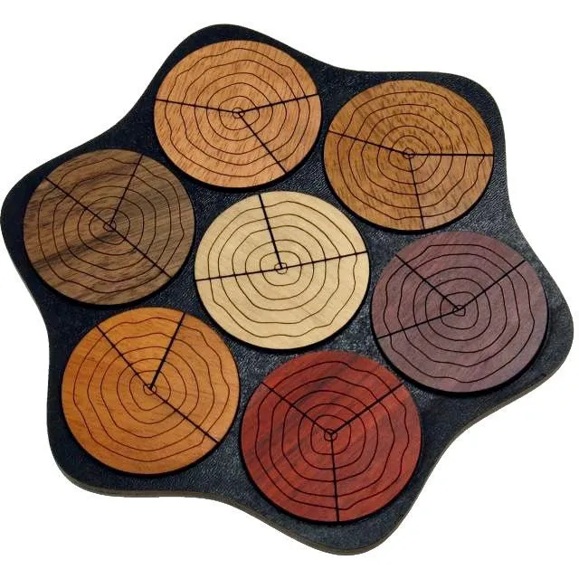 CT Cercles multicolores