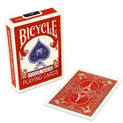 Bicycle Paris Back