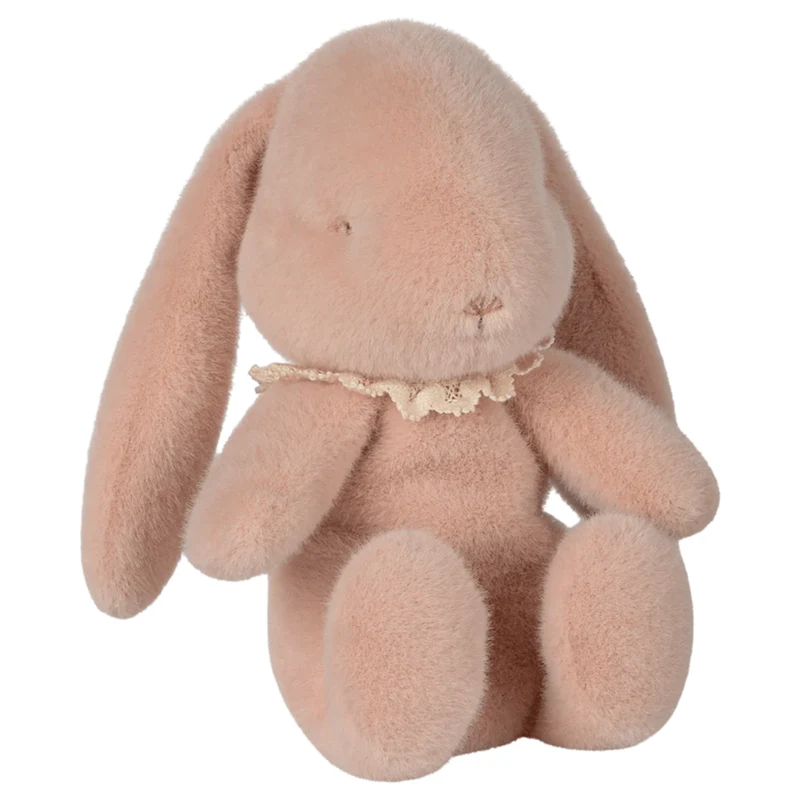 Oeuf De Pâques Avec Lapin - Poudre