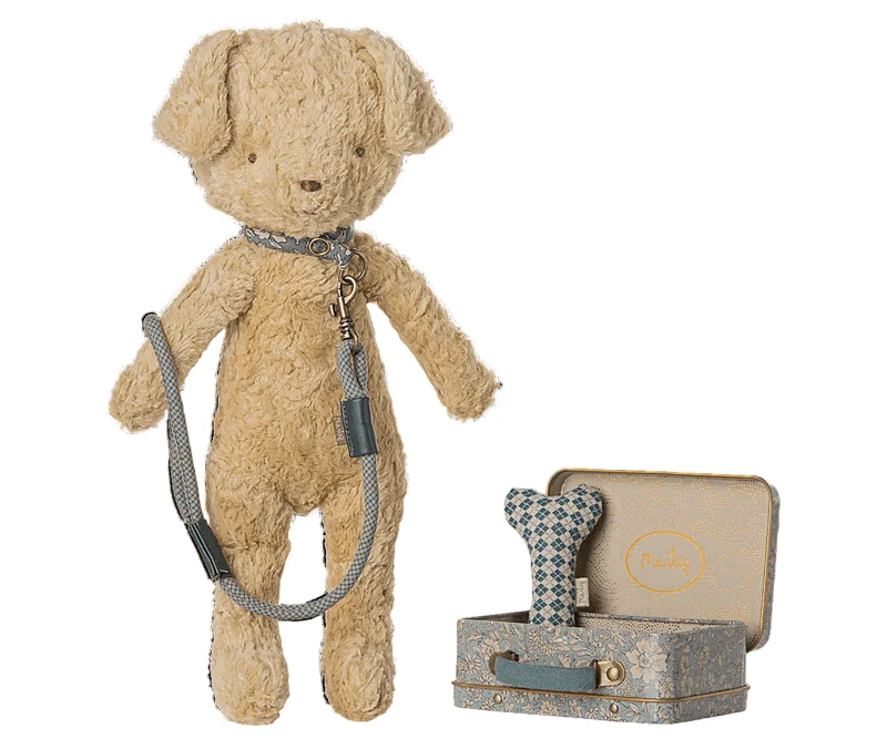Fourniture Pour Chiots, Accessoires - Bleu