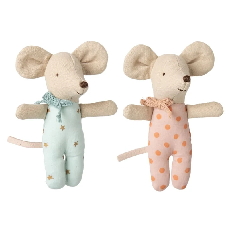 Jumeaux Bébé Souris Dans Une Boîte D'allumettes