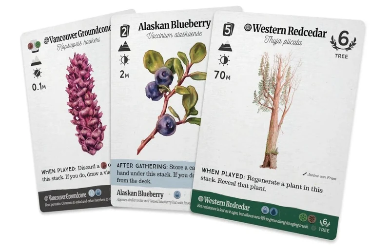 Reforest: Old Growth (EN)