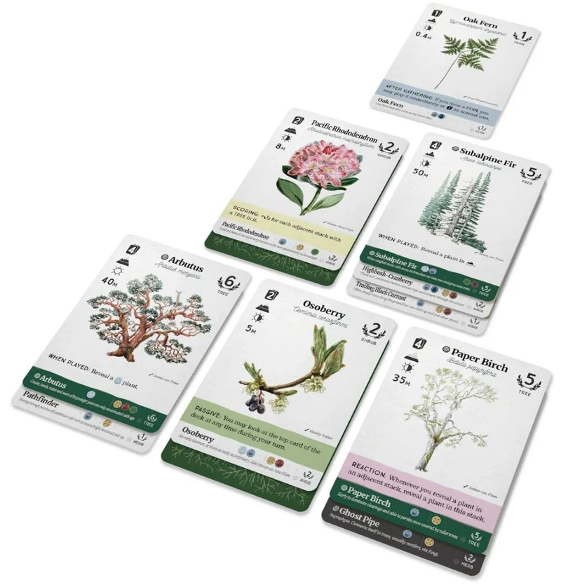 Reforest: Old Growth (EN)