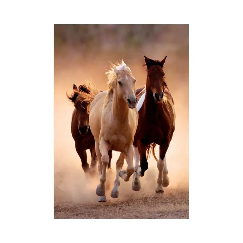 Chevaux de course (1000 pcs)