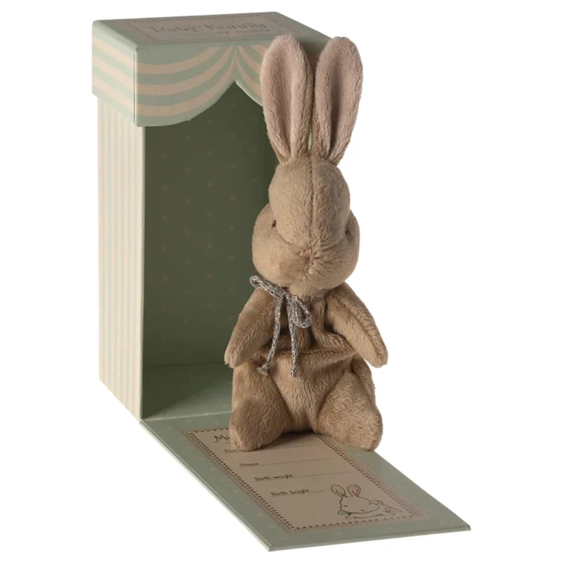 Mon Premier Lapin - Marron