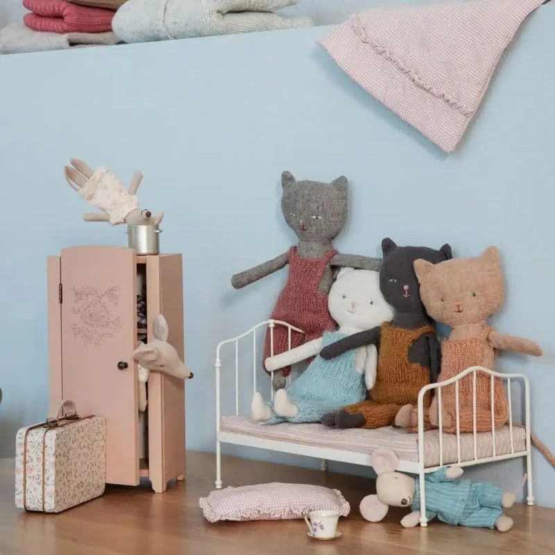 Chatons, Kitten - Roux