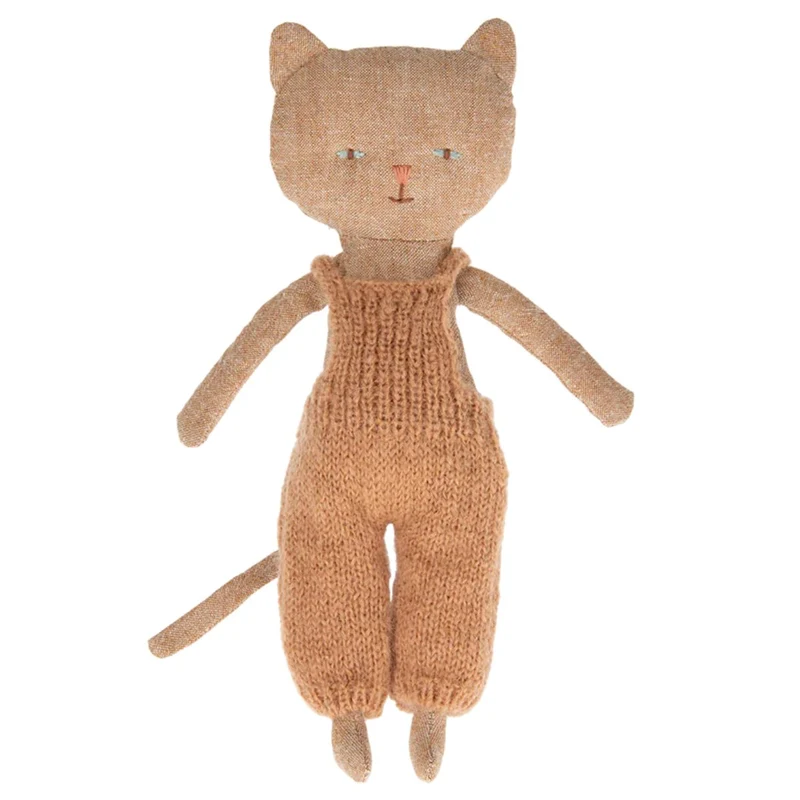 Chatons, Kitten - Roux