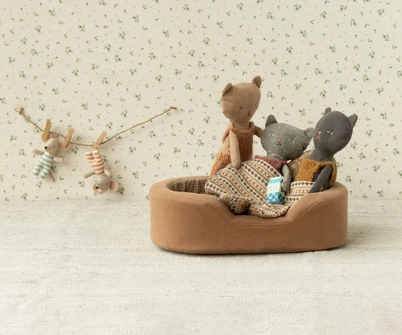 Chatons, Kitten - Gris