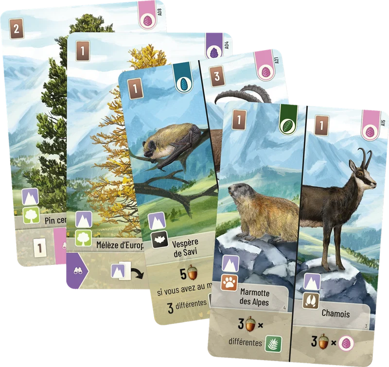 Forêt Mixte - Alpes