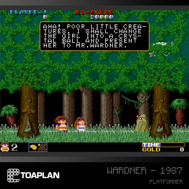 Blaze Evercade - Toaplan Collection 2 - Cartouche Arcade n° 09