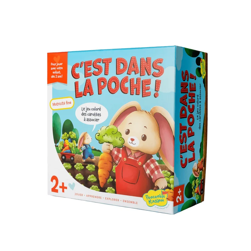 C'est dans la poche (FR)
