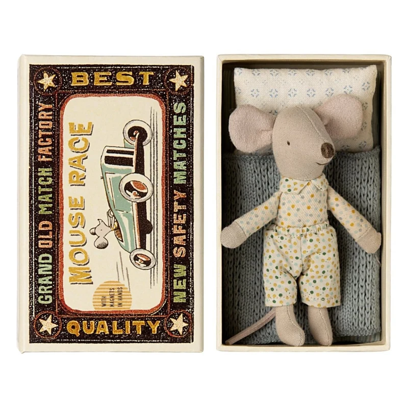 Souris Petit Frère Dans Sa Boîte Assortie