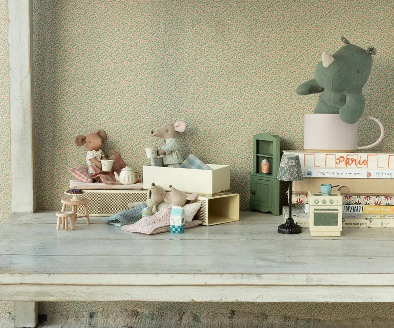 Souris Petit Frère Dans Sa Boîte Assortie