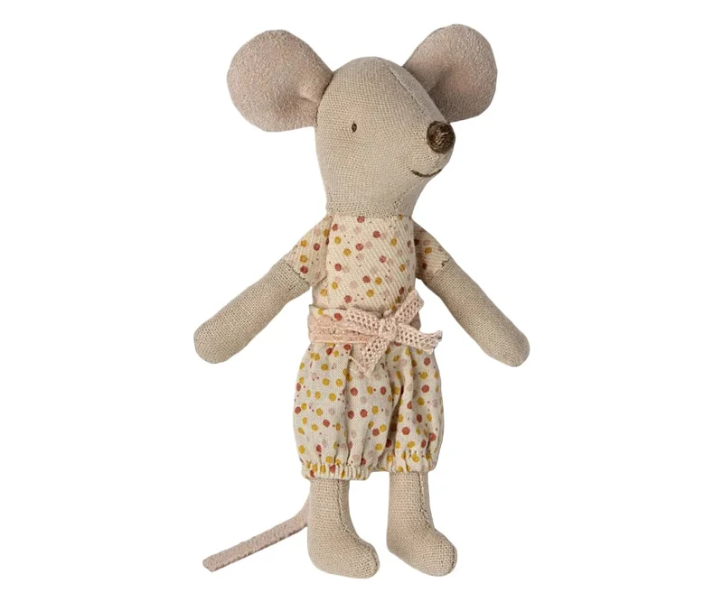 Souris Petite Sœur Dans Sa Boîte Assortie