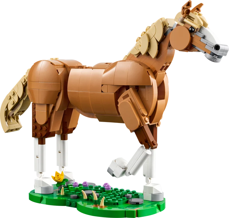 Le cheval magnifique