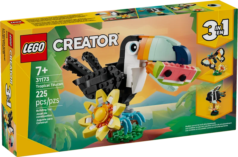 Les animaux sauvages : le toucan tropical