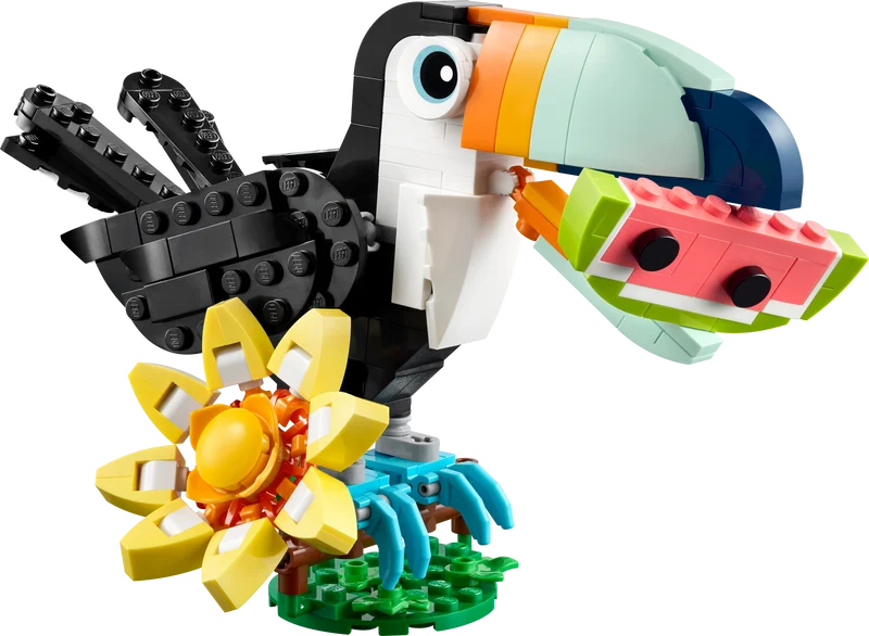 Les animaux sauvages : le toucan tropical