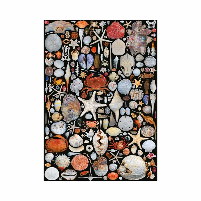 Objets de plage (1000 pcs)