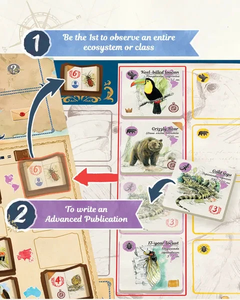 Sur le traces de Darwin - Ext. Correspondances(FR)