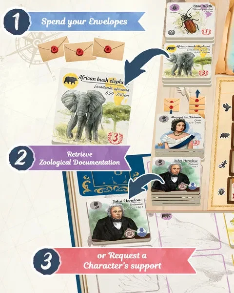 Sur le traces de Darwin - Ext. Correspondances(FR)
