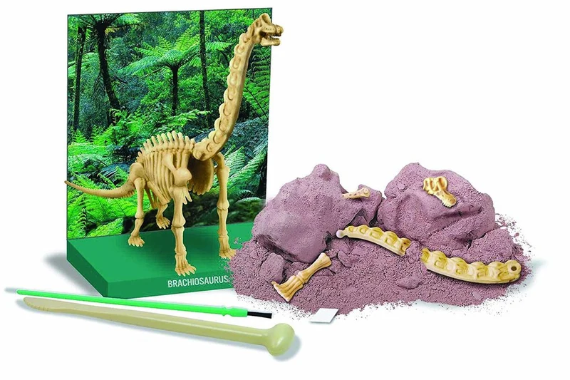 Jeu d'archéologie Brachiosaure