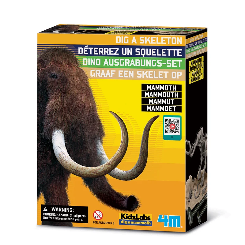 Jeu d'archéologie Mammouth
