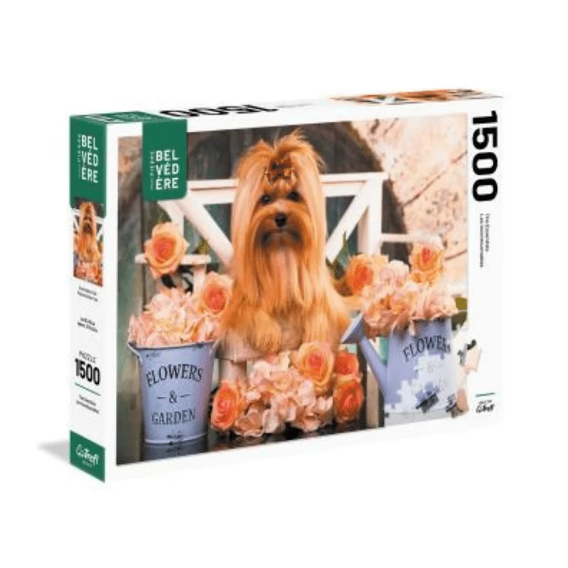 Golden york mignon (1500 pcs)