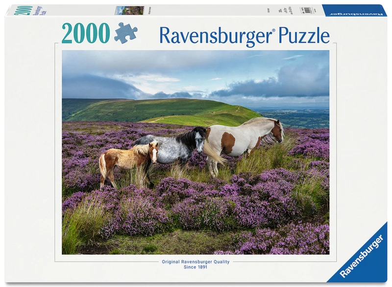 Chevaux sauvages dans la bruyère, 2000 pièces