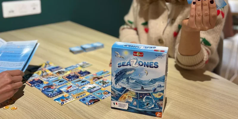 Sea Zones (FR)