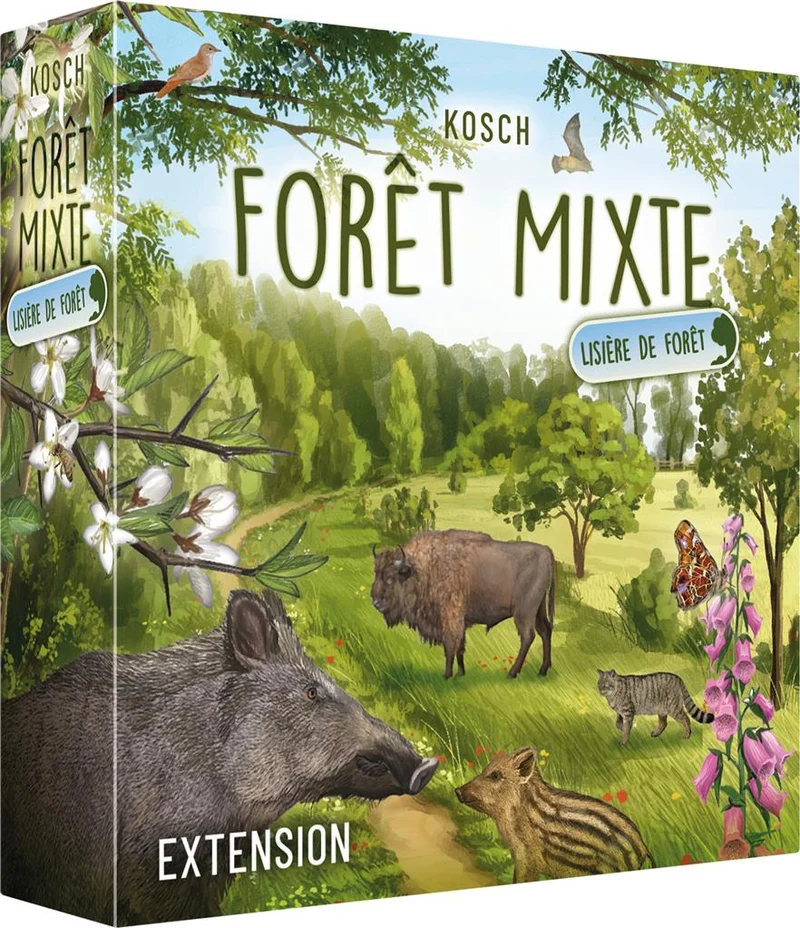 Forêt Mixte - Lisière de forêt