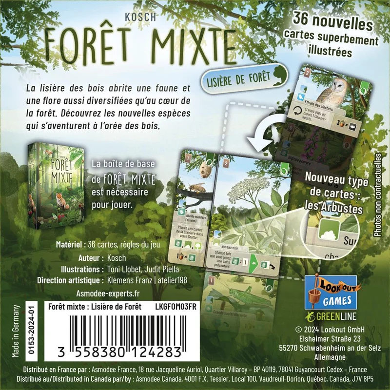 Forêt Mixte - Lisière de forêt