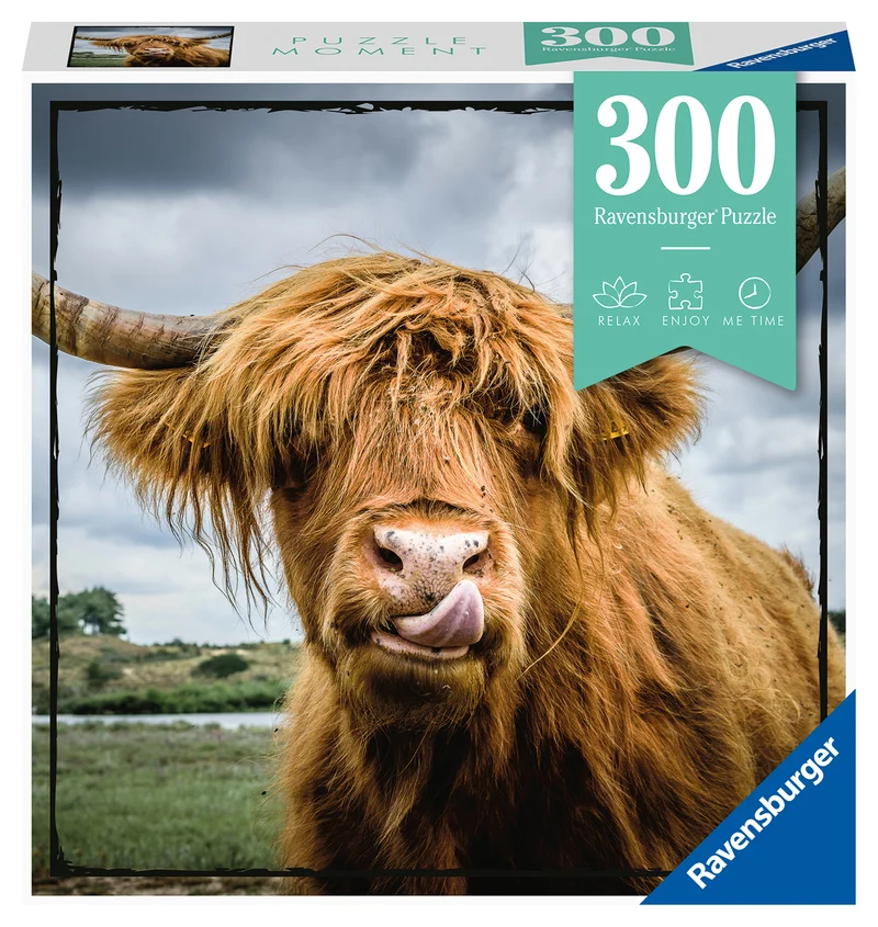 Bœuf Highland, 300 pièces