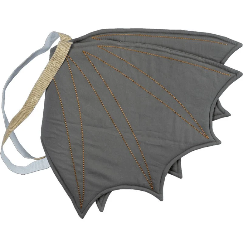 Ailes De Dragon