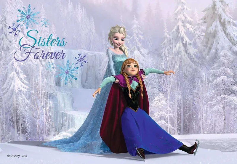 Frozen: Soeurs pour toujours | Sisters Always (2x24 pcs)