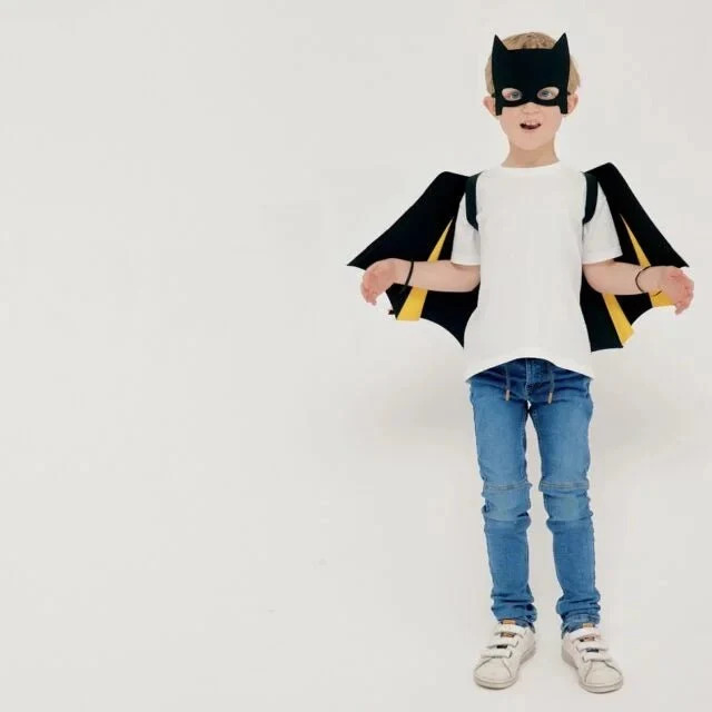 Le Kit Chauve-Souris
