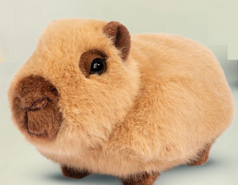 Capybara Chattie