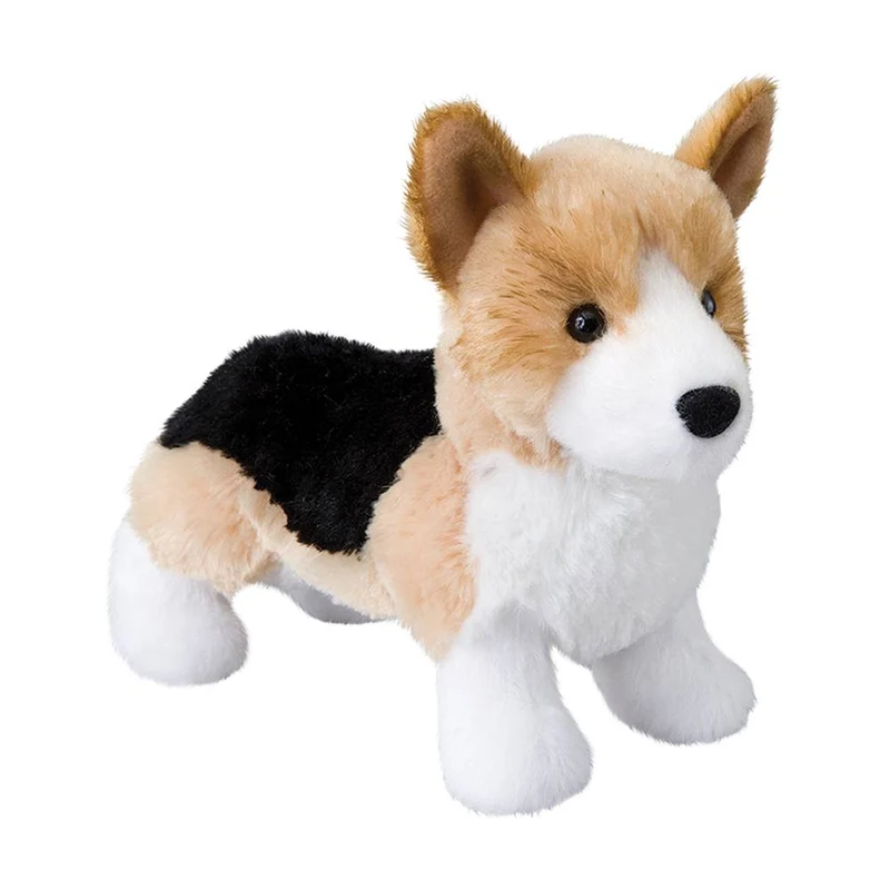 Corgi Trois couleurs