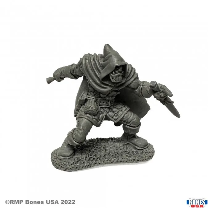 Rogan, half-orc thief