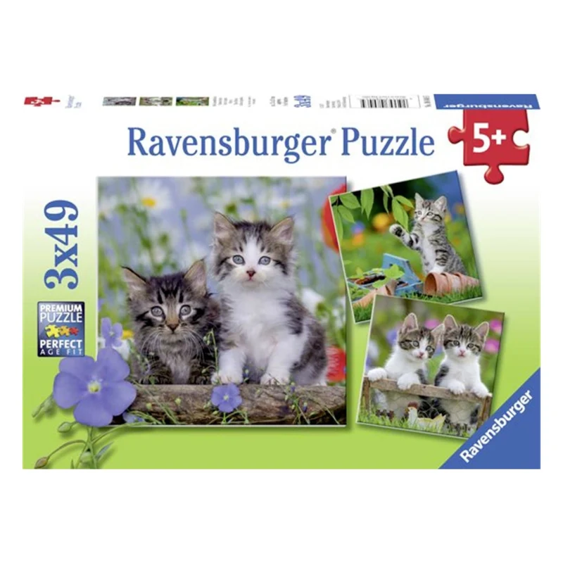 Chatons tigrés | Cuddly Kittens (3x49 pcs)