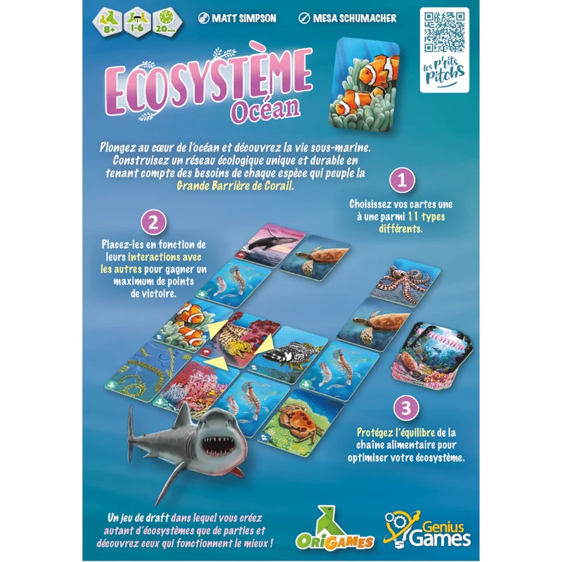 Ecosytème - Océan