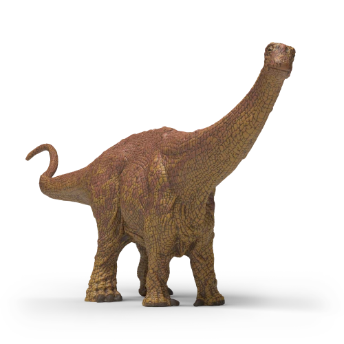 Brontosaurus