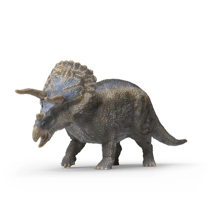 Triceratops