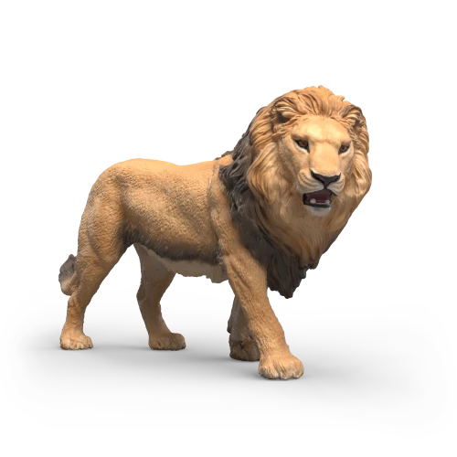 Lion d'Afrique