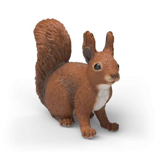 Écureuil