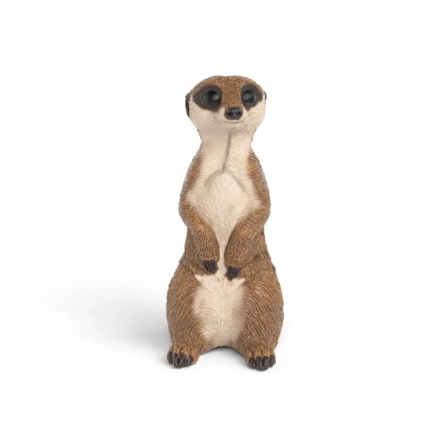 Suricate