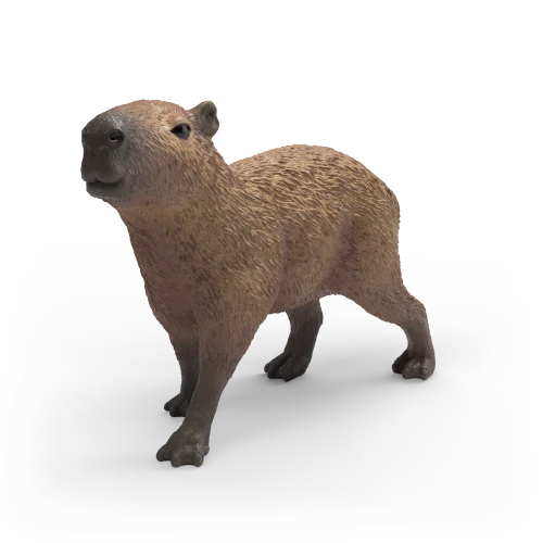Capybara